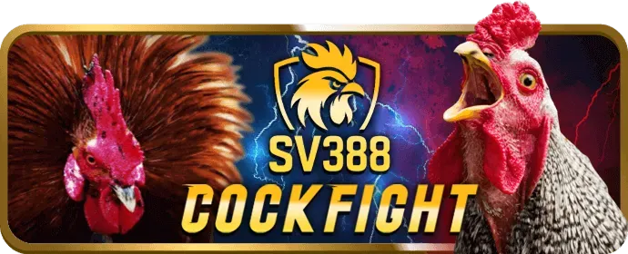Các loại hình đá gà tại Nextbet